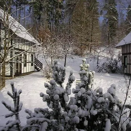 Ferienhaus In Nahe Skipisten & Edersee, Cleaning Included